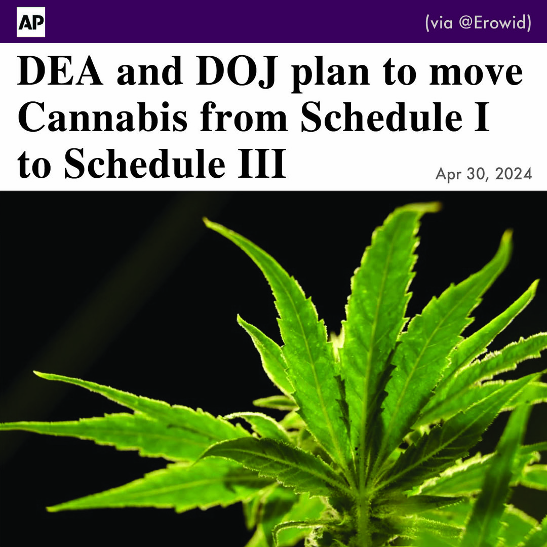 Big news! The DEA &amp; Department of Justice are planning to reclassify cannabis, moving it from Schedule I (most restrictive) to Schedule III, which is prescribable. 

To the best of our knowledge this will be the first drug ever moved out of Schedule I.

apnews.com/article/mariju…