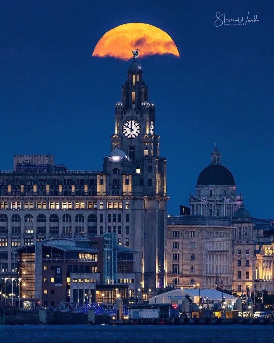 📸 | Moonrise over Liverpool 😍 Photo by @SteveWardNature