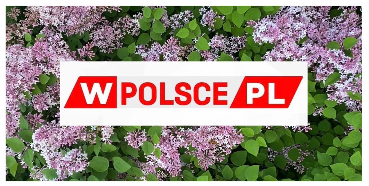 'Pamiętajcie! 🌼 Jesteśmy tu dla Was od rana do wieczora przez całą majówkę! 🌞 Nie przegapcie najważniejszych informacji, ulubionych programów i najlepszych prowadzących na antenie TV #wPolsce. 📺🌟 Spędźcie z nami czas pełen emocji i niezapomnianych chwil #MajowkaWPolsce