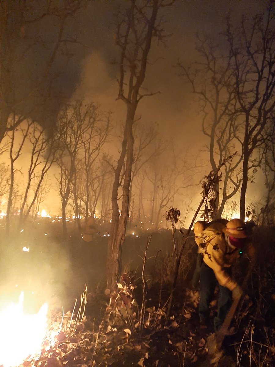 Aipromades tweet media