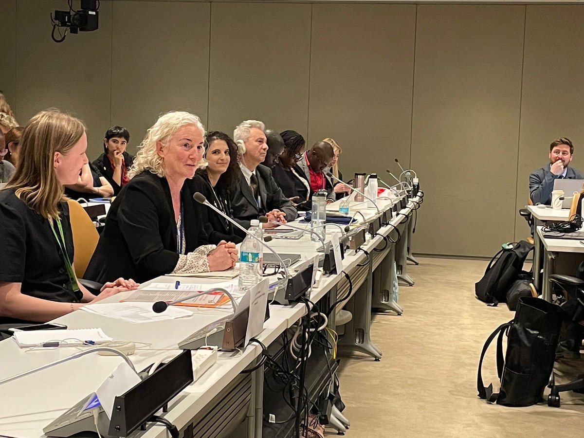 Across the world 🌎, civil society, youth and UN 🇺🇳 partners have been instrumental in progressing women’s rights & access to #SRHR. Ireland 🇮🇪 was delighted to participate today in a #CPD57 side event on bodily autonomy, reflecting on progress made in the 30 years since #ICPD.