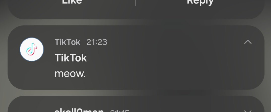 Why's tiktok meowing at me