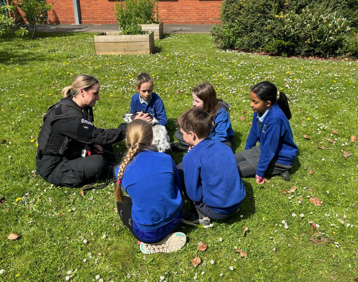 A lovely lunchtime with some special guests: Apley Wood pupils loved playing 'Top Dogs' with PC Brittain, PC Huges and PC Worrall from @WMerciaPolice , along with getting to meet their police dogs PD Geroge and PD Riley! #TopDogs #WestMerciaPolice