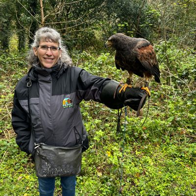 Flying Hawks in Ireland #podcast #KathleensKorner #spotify #applepodcasts @falconry #flying #hawks #Ireland #flyinghawks #flyinghawksinireland #ashfordcastle #falconry 
buff.ly/3w3YsOM