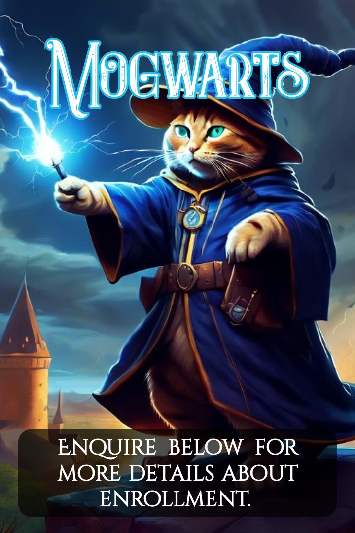 Enroll today! #Mogwarts