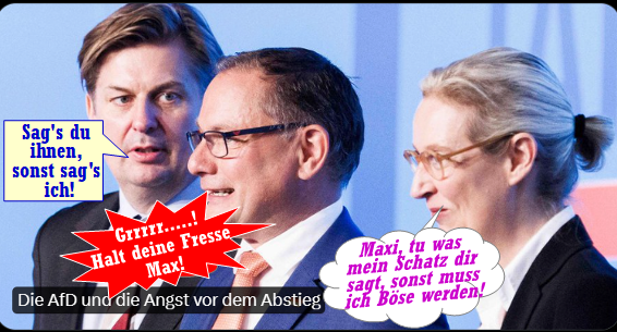 451_Grad_F's tweet photo. @KreuzAcht Die Kammerfestspiele in #AfDen, zeigen das Singspiel "SchAfDieb" mit Max #Krah als Schafdieb, Tino #Chrupalla als Bauer Seppl &amp; Alice #Weidel als Mutter Capisce! https://t.co/RGX8sEWjax