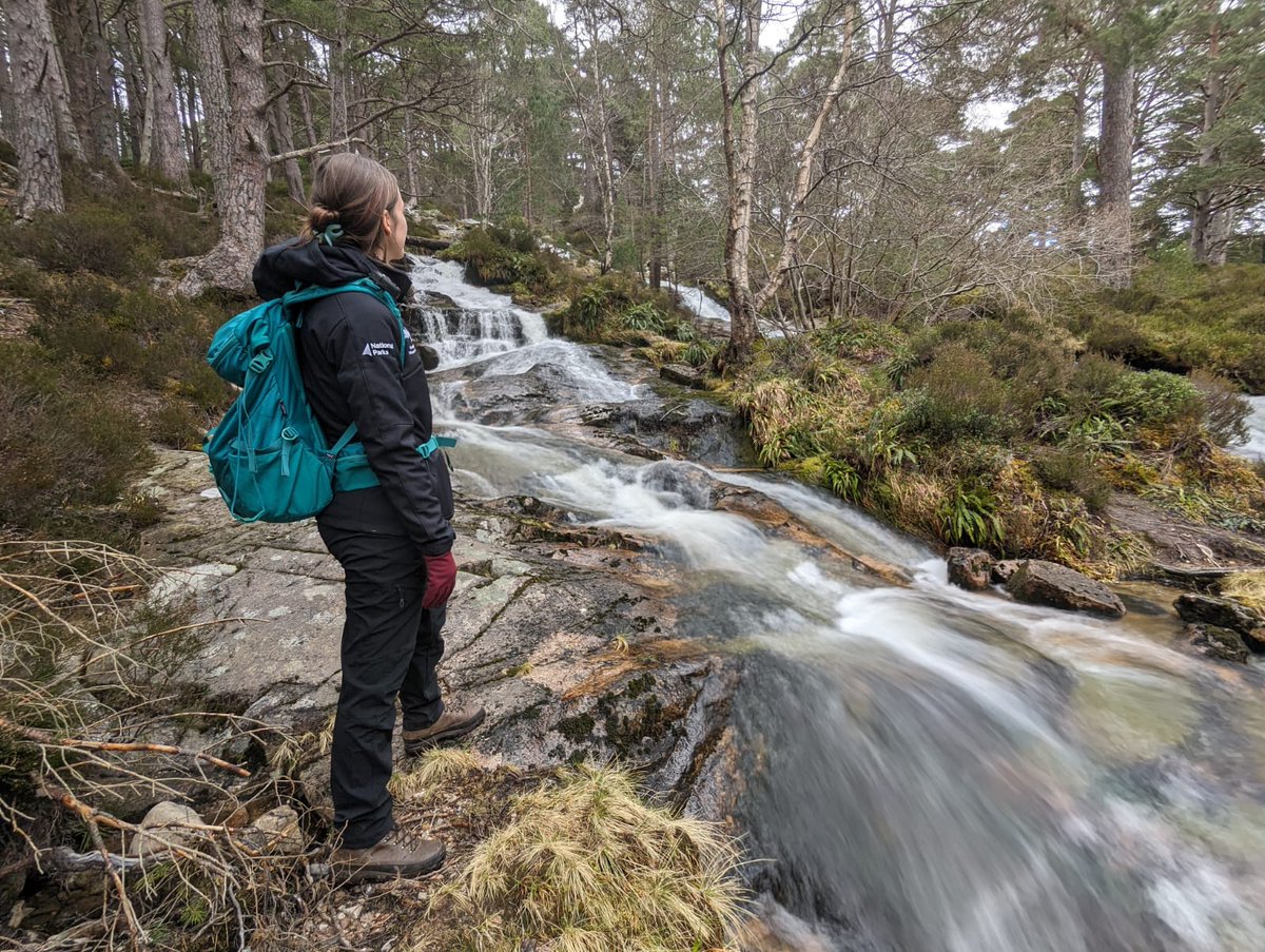 We have some exciting opportunities for Trainee Rangers to join our team in Badenoch and Strathspey and Deeside, and encourage people to have a safe, enjoyable and responsible visit to the National Park 🌱 Apply by 12 May at 23:59pm ➡️ careers.cairngorms.co.uk/Cairngorms/Home 📸 Pete Short