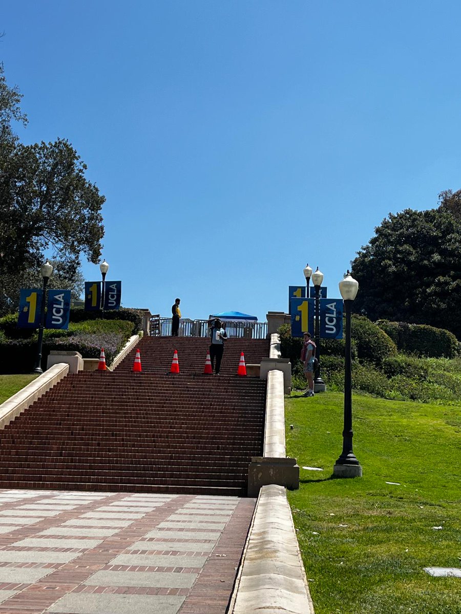 Sia Kordestani tweet media