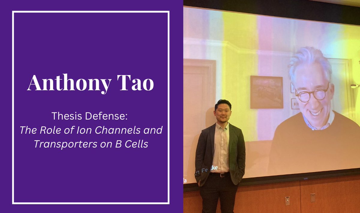 Congratulations to #AnthonyTao on the completion of the Thesis Defense: The Role of Ion Channels and Transporters on B cells! 🎉 Supervised by Dr. Stefan Feske @Feskelab