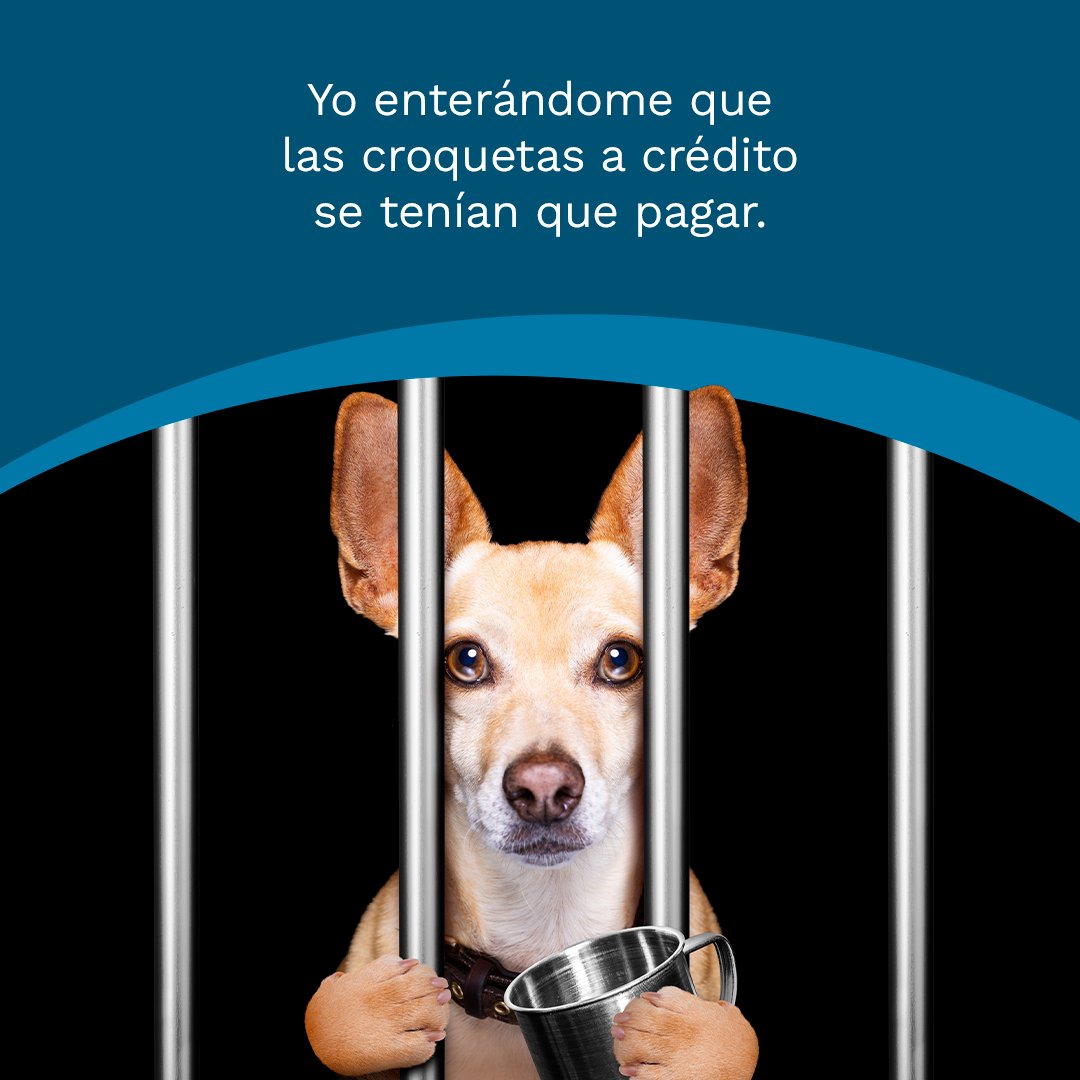 ¡Ay Milaneso! Y no solo eso, si no pagas afectas tu #HistorialCrediticio así que, ¡aguas! Consúltalo: acortar.link/bsGU3H

#BuróDeCrédito #FinanzasParaPrincipiantes #BuróDeCréditoLimpio