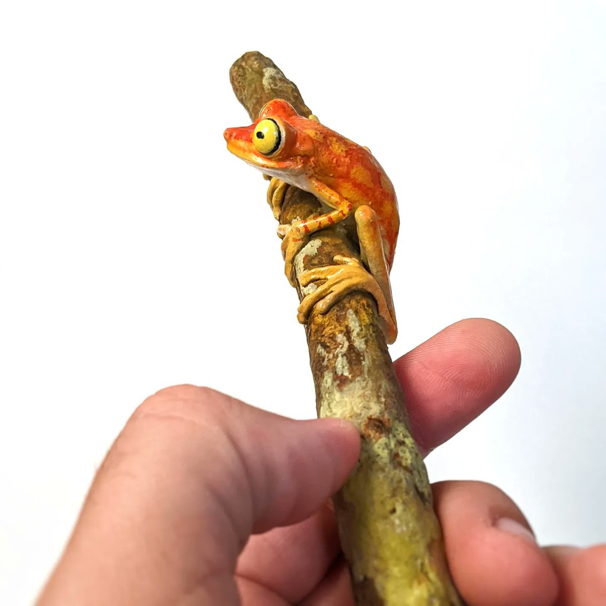 Welcome new followers! 
My name is Lincoln Savi and I make life sized, realistic, 3D-printed, animal models for research, education, and display. I also sell the files on my website Savimade.ca. (pictured: Boana picturata model)