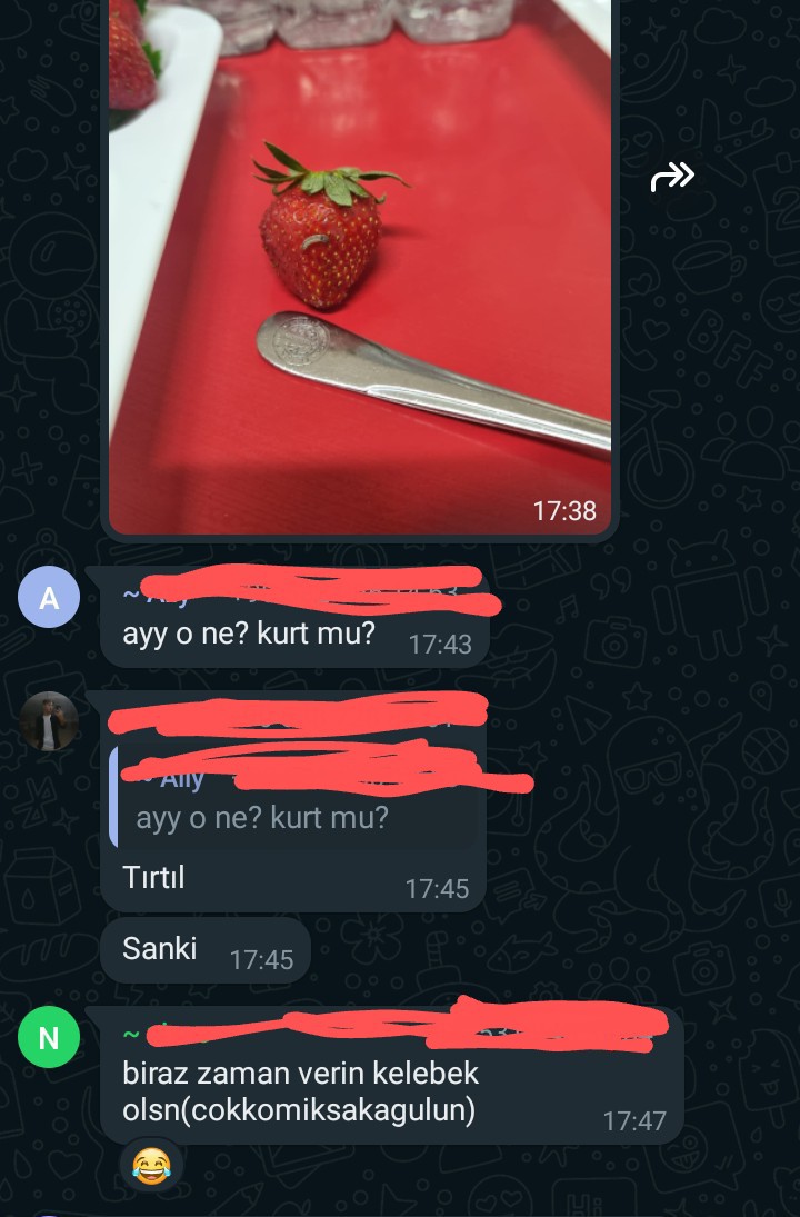 Bir çok öğrenci İstanbul Üniversitesi Yemekhanesi menüsündeki meyvelerden kurt çıktığını dile getirdi ve paylaştı.

Bahsettiğiniz bu muydu, yoksa siz mi bu hale getirdiniz?