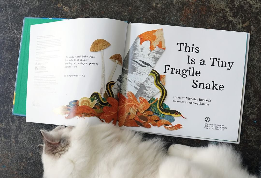 A tiny fragile drawing becomes a tiny fragile cut-paper collage. ✂️ Thanks to @Ashley__Barron for sharing these photos of her illustration process for THIS IS A TINY FRAGILE SNAKE by @NicholasRuddock!