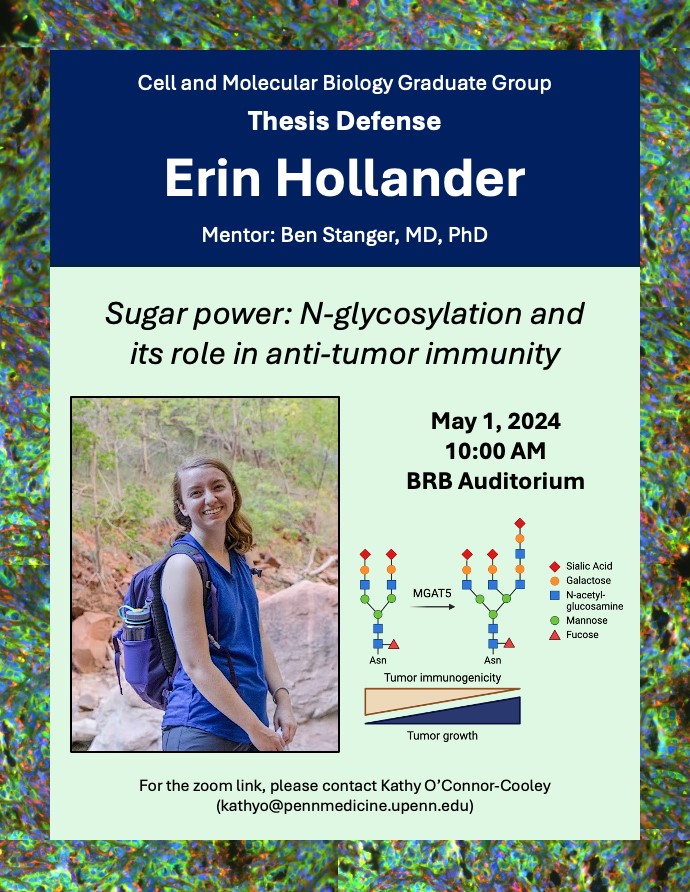 Erin Hollander from the Stanger lab <a href="/BenStanger01/">Ben Stanger</a> defends tomorrow!!