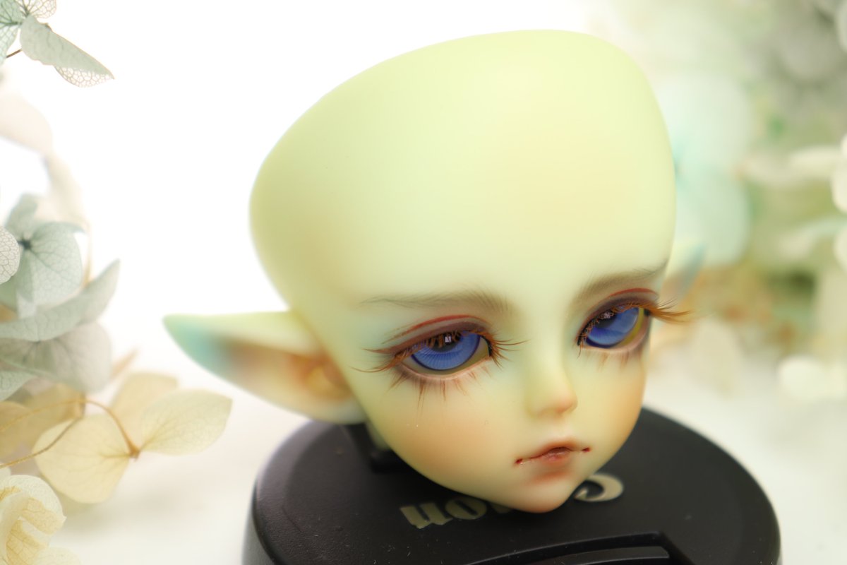 applebug44's tweet photo. Soom - Aloa
 #bjd #bjdmakeup #bjdfaceup #bjd娃妝 #bjddoll #カスタム #ドルメイク https://t.co/A3S40oUJnq