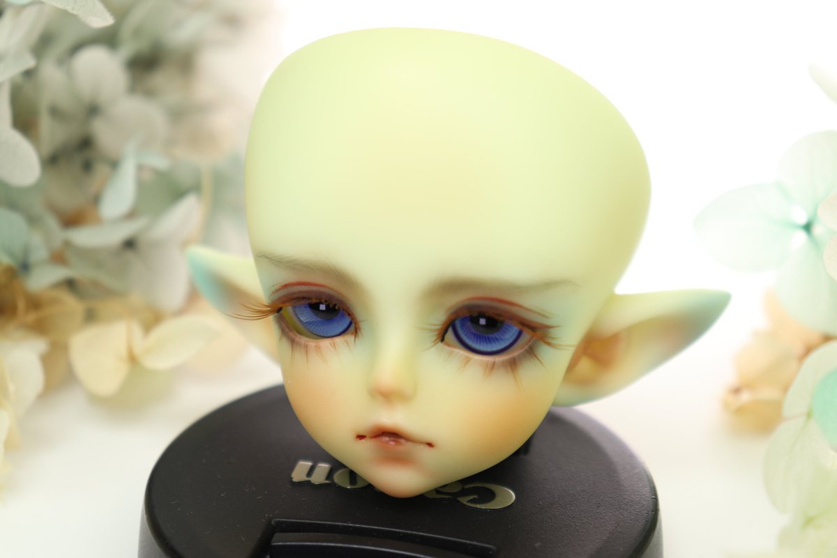 applebug44's tweet photo. Soom - Aloa
 #bjd #bjdmakeup #bjdfaceup #bjd娃妝 #bjddoll #カスタム #ドルメイク https://t.co/A3S40oUJnq