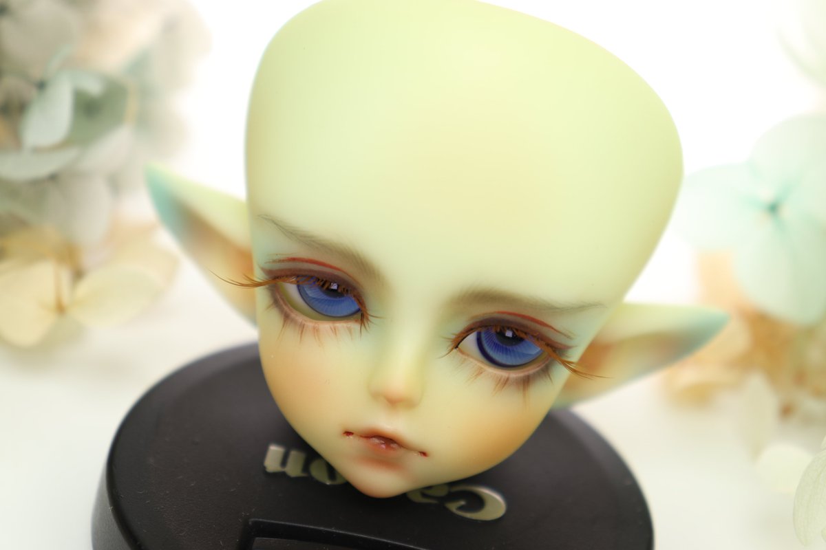 applebug44's tweet photo. Soom - Aloa
 #bjd #bjdmakeup #bjdfaceup #bjd娃妝 #bjddoll #カスタム #ドルメイク https://t.co/A3S40oUJnq