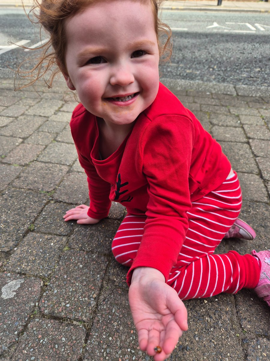 We went on a bug hunt 🐛🪲 🐜. Skye was so happy when she found 2 ladybugs, she was telling me all about the bug hotels they have been making at forrest school 🌳 🐞 @MissWarbrick_ @parishschool1