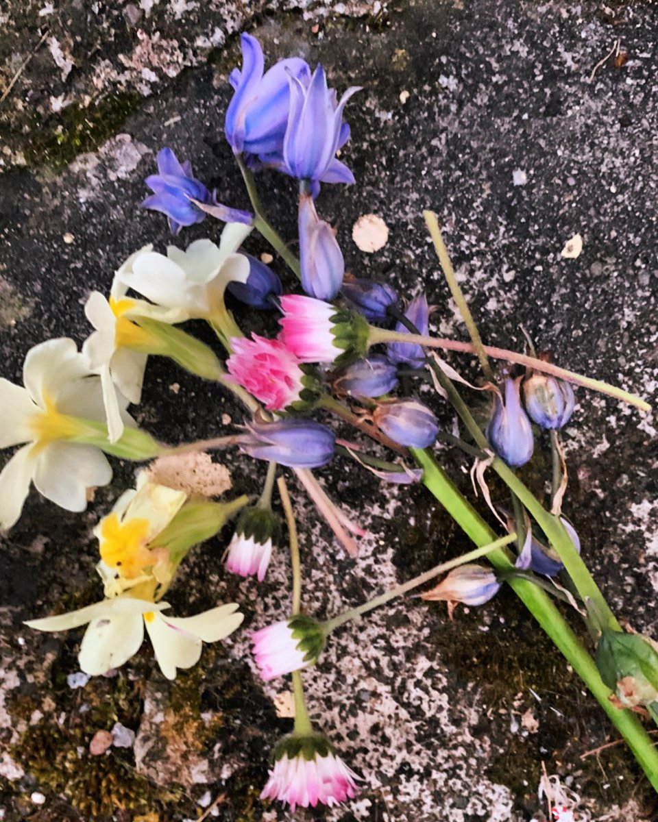 Bhfuil bhur bláthanna Bealtaine ullamh agaibh? Have you your May flowers gathered? The tradition in many areas was/is to gather flowers & leave on the doorstep for good luck. An raibh an traidisiún agat? Did you have this tradition at home?