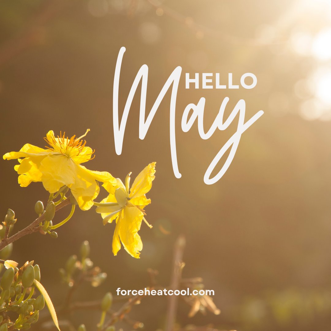 ☀️ Happy May! 😎 Are you ready for warm weather and sunshine? 🌼

#MayDay #HelloMay #SpringVibes #WarmWeather