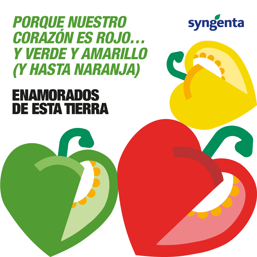 SyngentaES's tweet image. ♥️ Lanzamos la campaña #EnamoradosDeNuestraTierra para destacar la labor de los agricultores de Almería y Murcia, principales responsables del éxito del #pimiento.

Para #Syngenta, es un orgullo ser sus aliados y acompañarlos en este logro 👉 bit.ly/4aSIPc4