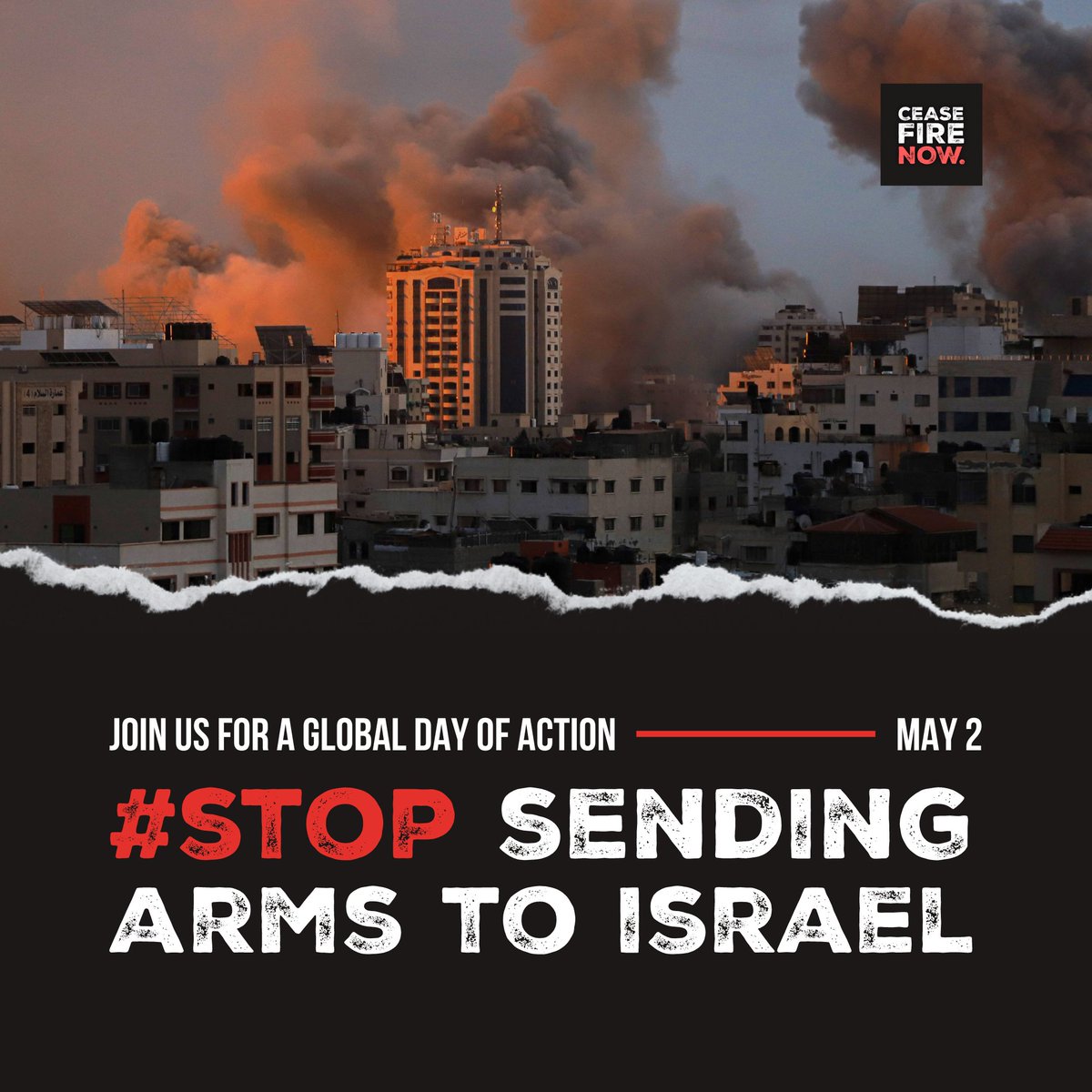 ‼️ TODAY is the Global Day of Action. Arms sales and transfers to Israel MUST STOP and steps towards an immediate, sustained ceasefire must begin. End the human suffering in Gaza now! #CeasefireNOW