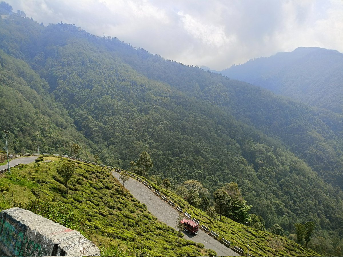 Darjeeling ♥️♥️♥️ #darjeeling #explore #hill #hillstations #exploreIndia