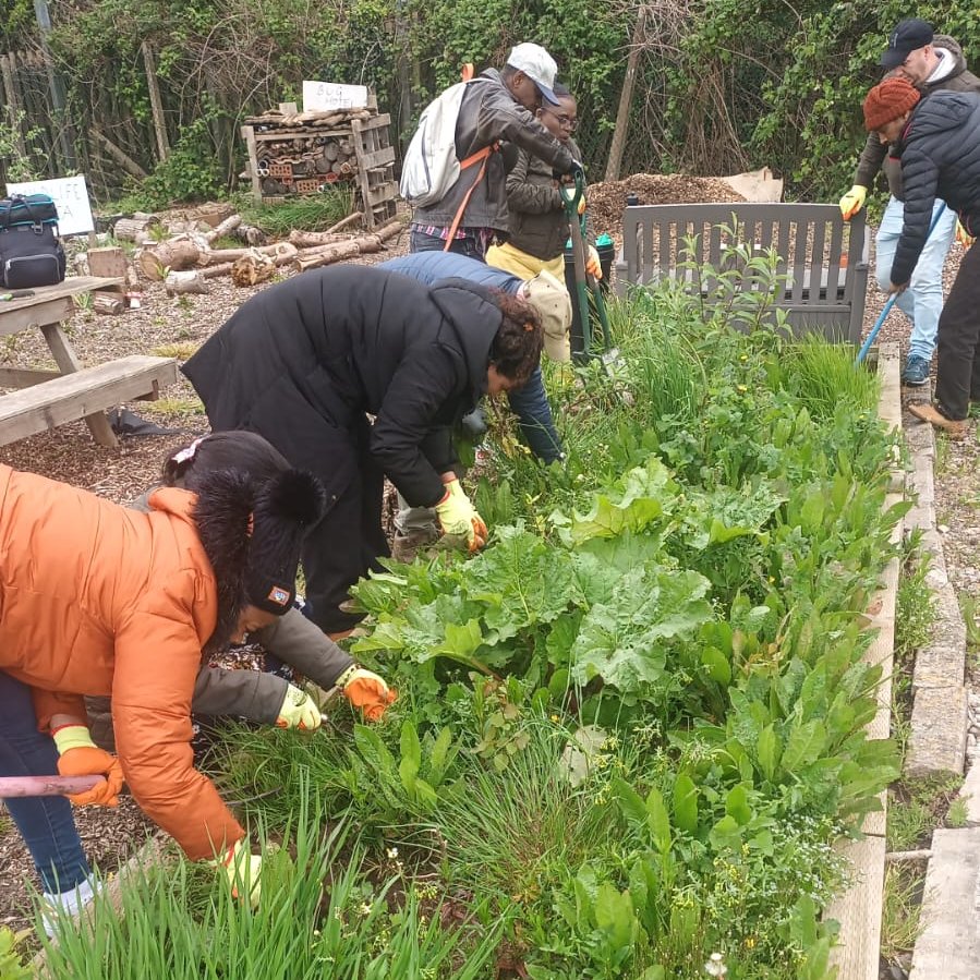 Happy 4th birthday to @action_asylum! This national project has been running in Cardiff since 2022 and aims to create opportunities for people seeking sanctuary to volunteer & connect with their community... like this new community allotment we recently started👇🥬