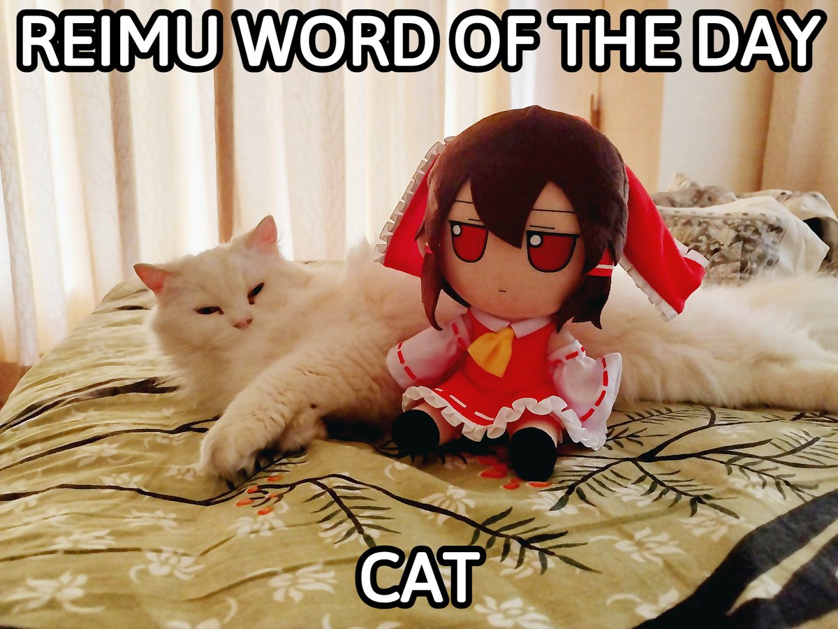 Reimu Word Of The Day (@ReimuWOTD) on Twitter photo 2024-04-30 15:30:00