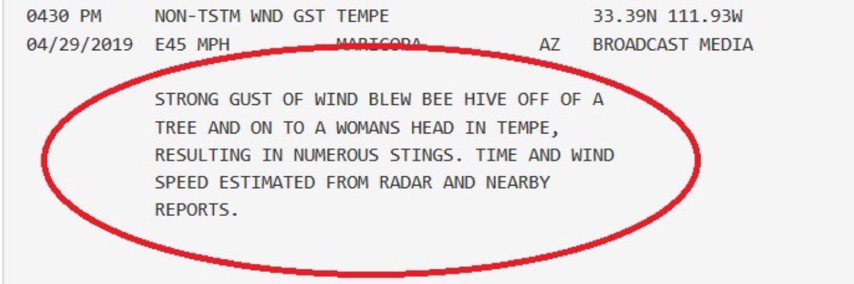 A little late, but happy 5 year anniversary to one of the greatest storm reports of all time. 🐝