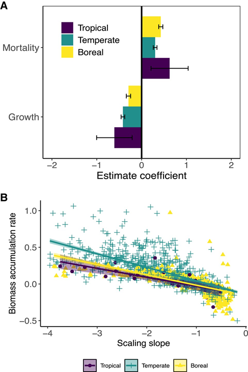 Kailiang Yu et al. forest analysis suggests how forest structure may be leveraged to predict demography, carbon fluxes and dynamics academic.oup.com/pnasnexus/arti…