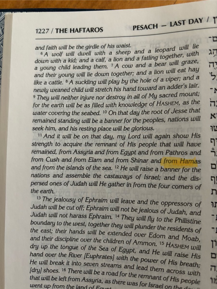 On the 8th day of Pesach we read the famous Haftarah in which Elijah prophesied the end of war, when the lion will lie down with the lamb and man shall make war no more. I also noticed this highlighted bit in yellow.