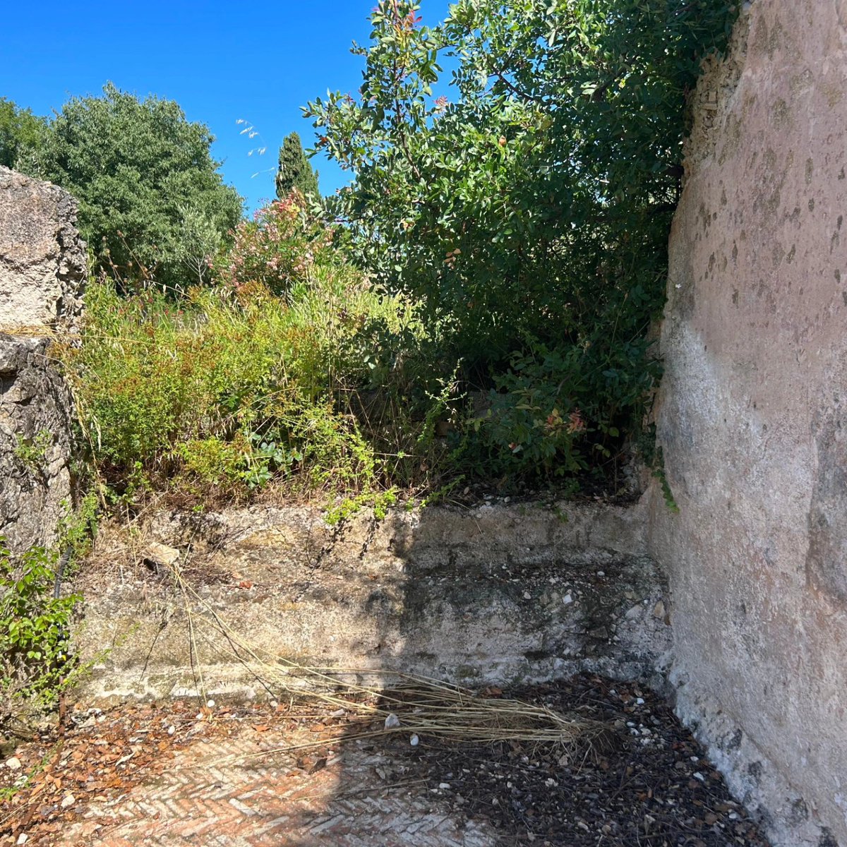 ELRI_arch's tweet photo. Ostaju mnoga pitanja o ovom impresivnom zdanju i onima u blizini, uključujući ostatke rimske cisterne i vile. Vila je iskopana 1901. godine, ali je sada u lošem stanju očuvanosti. Istraživanje koje je proveo Fabian Welc 2023/24. godine otkrilo je dodatne neistražene dijelove. https://t.co/h7mmLorVUz