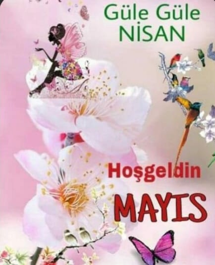 Mayıs Bahar'dır 🌿 Mayıs işci bayram'ıdır 🔧⚒👷‍♂️ Mayıs Hıdrellez'dir 🦋 Anneler günü'dür Mayıs 👩‍👦‍👦 Samsun'a çıkış'tır 🇹🇷 Mayıs sümbül'dür ⚘ Lale'dir 🌷 Nergis'tir 🏵 Papatya'dır 🌼 Hoş geldin Mayıs 🤗 Güzelliklerle gel