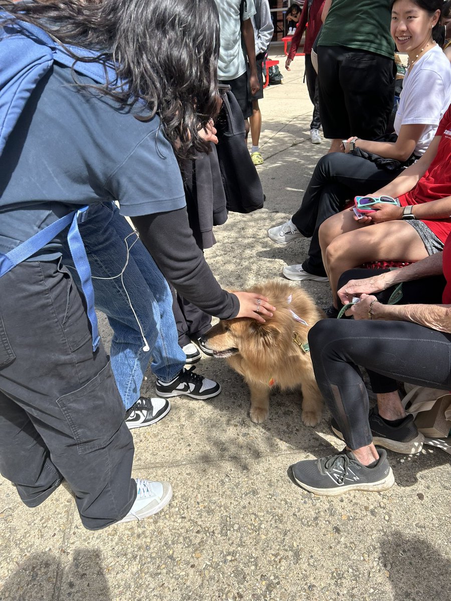 ✨✨We love when the therapy dogs visit during lunch! ✨✨