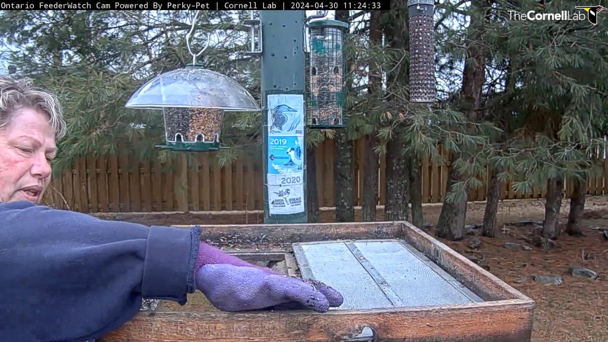 FeederWatchCam tweet picture