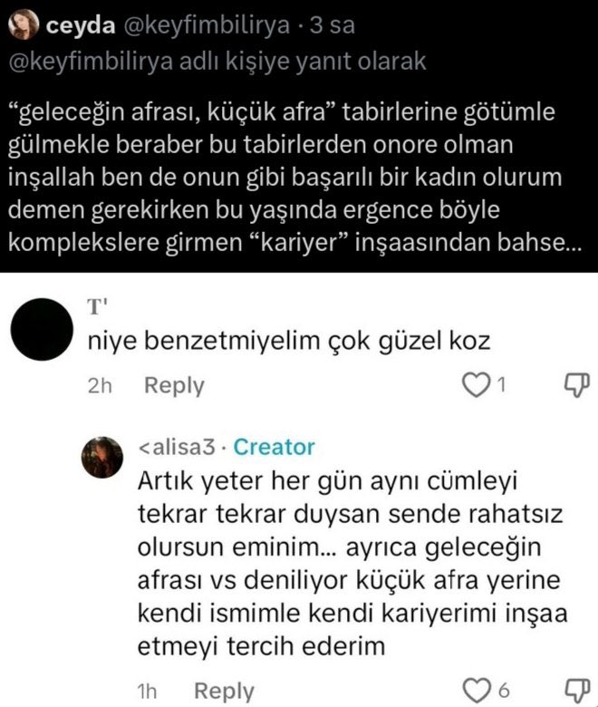 Bunlar afrayı “EGOT” sahibi bi oyuncu sanıyorlar galiba. Fanların  her konuda feminist kesilip konu kendi favları olunca karşı tarafa her türlü hakaret eleştiri yapabileceklerini düşünmesi. Afrayı da fanları dışında pek kimsenin sevdiğini de düşünmüyorum mesela