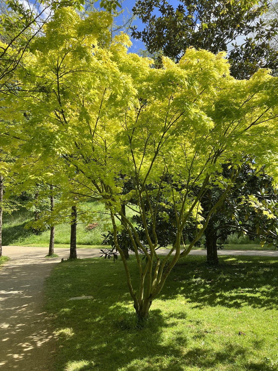 Parc Oriental tweet media