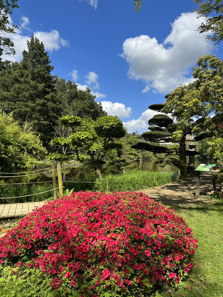 Parc Oriental tweet media