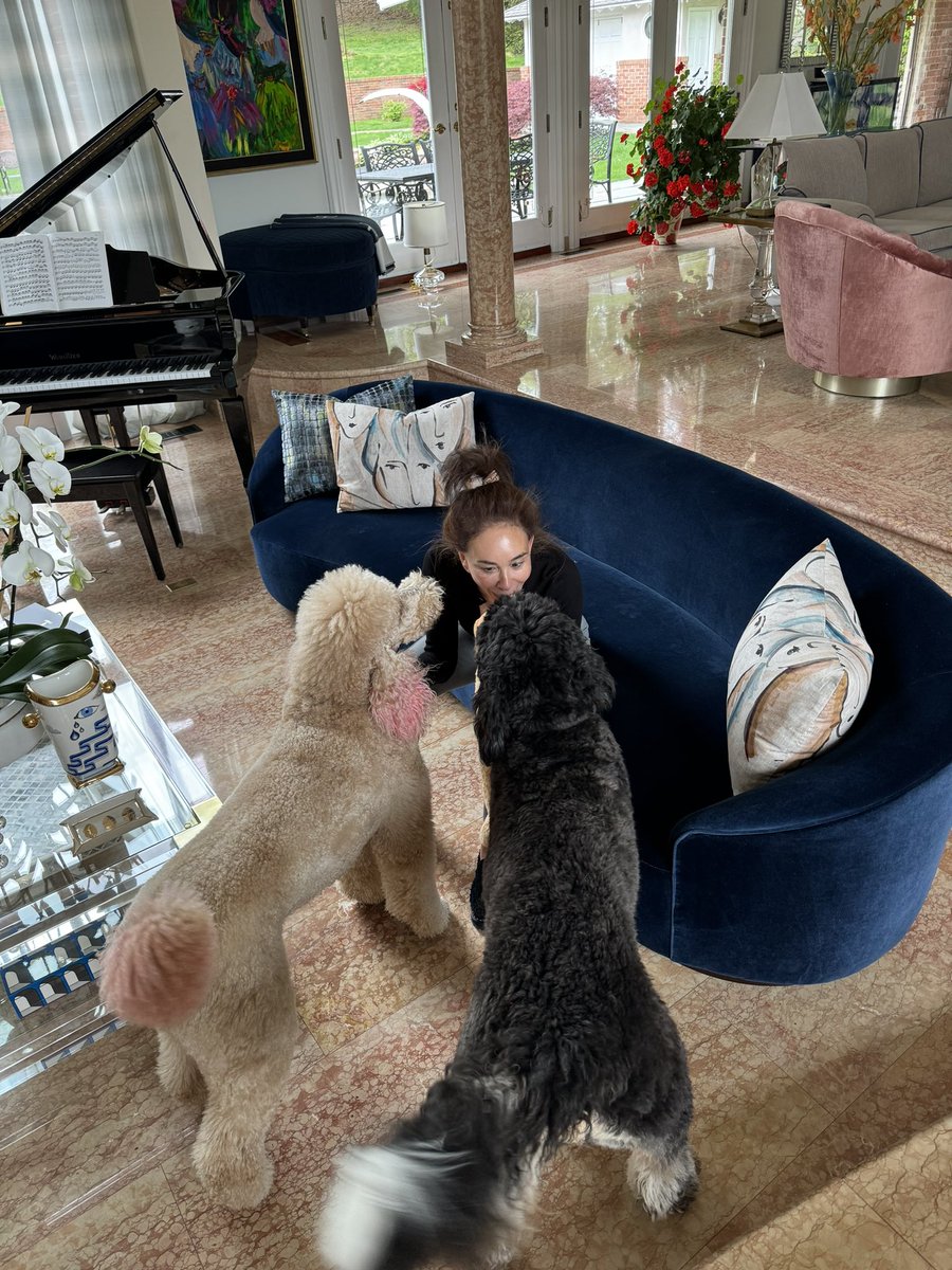 Ted and Doodle looking for a hug 🐩🤗