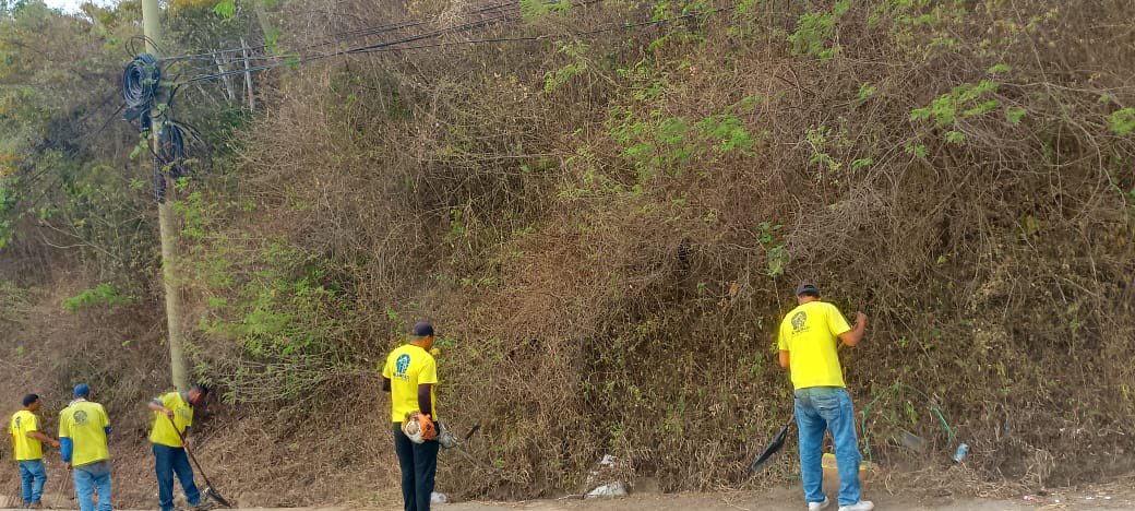 🌿✨Nuestro equipo ha realizado una jornada de trabajos de desmalezado y limpieza en laterales viales de el sector #ElEncantado. ¡Seguimos trabajando por un municipio más limpio y verde! 🚜🍃 #CuidemosElHatillo