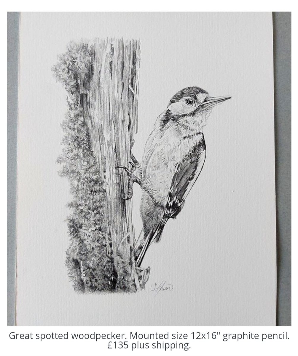 Original art. #birds #drawing #art