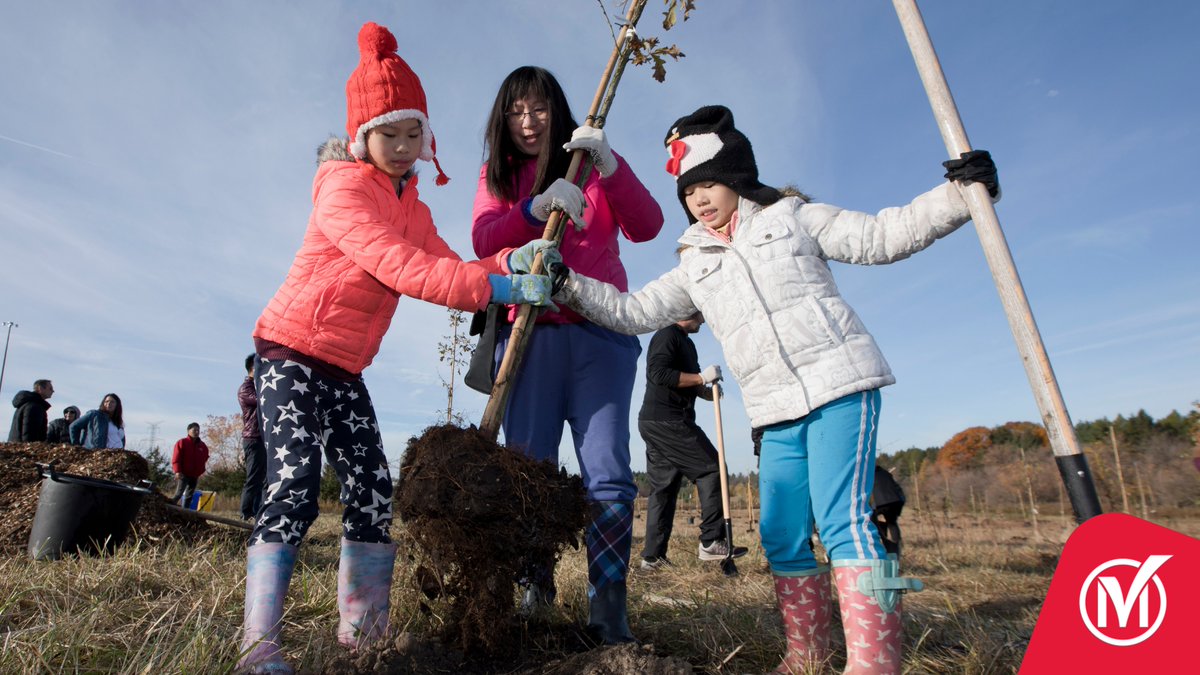 Committing to Markham’s environmental growth, over 11,000 trees and shrubs were planted to create five hectares of forest in 2023! Learn more: markham.ca/StrategicPlan #StrategicPlanAccomplishments