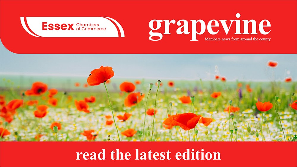 🔥HOT off the presses! Our April edition of our Member Newsletter - Grapevine🍇 Dive into the latest edition for a dose of community joy, achievements and upcoming events✨ 📰Get your copy now ➡️ ow.ly/uTxa50RsjYZ #EssexBusiness | #Grapevine