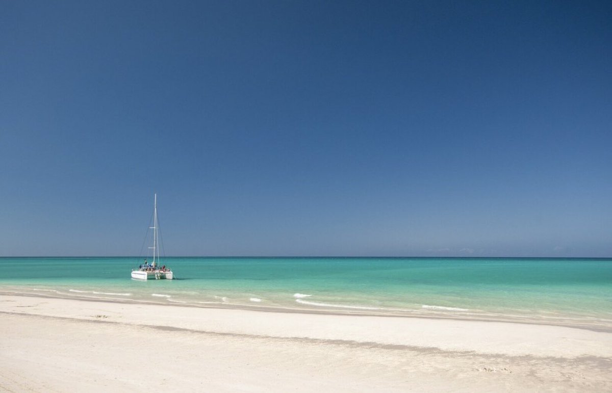 Enjoy the beauty of Jardines del Rey in our tourism fair, #FitCuba2024 🙌🙌🙌

#Cuba #FitCuba #Cubatravel