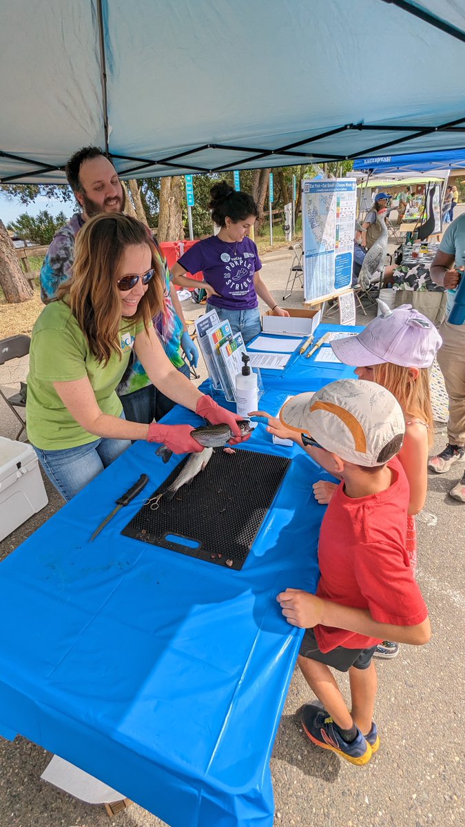 OEHHA had a great time at #CADuckDays🦆. Our #FishTeam taught kids fish anatomy & shared info on fish advisories 📲 bit.ly/GoodCatchCA With perfect weather & enthusiastic participants, it was an incredible day of learning and fun! Thanks to @YoloBasin for having us! 🐟☀️