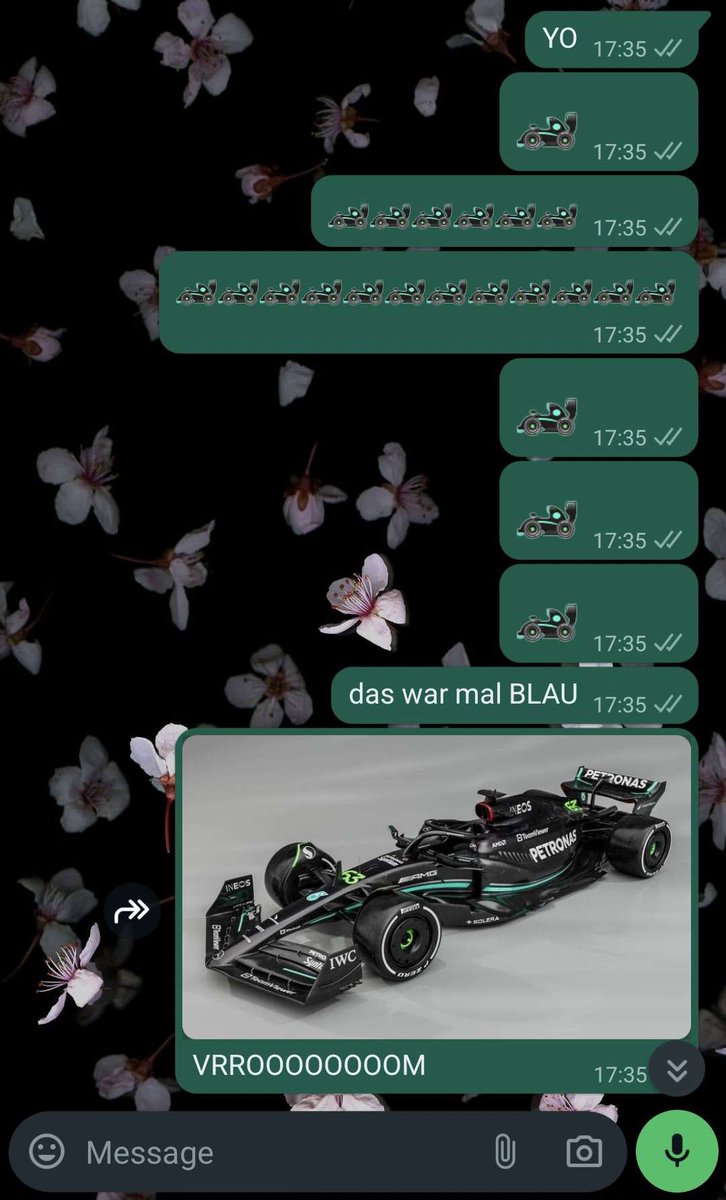 the exact moment i realized whatsapp changed the racecar emoji to the @MercedesAMGF1 livery