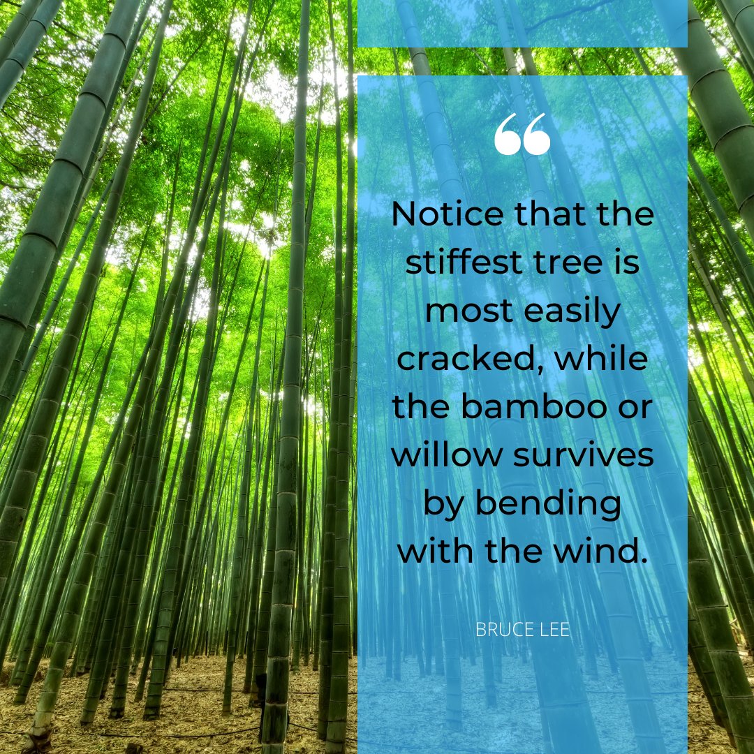 A body, mind, and spirit that can bend and flex are your best allies in navigating life's challenges.
.
.
#mobilityexercises #mobilityworkout #mobilitychallenge
#mobilityforall #mobilityflow #movementismedicine
#movementislife #JustMove #healthylifechoices #movebetter