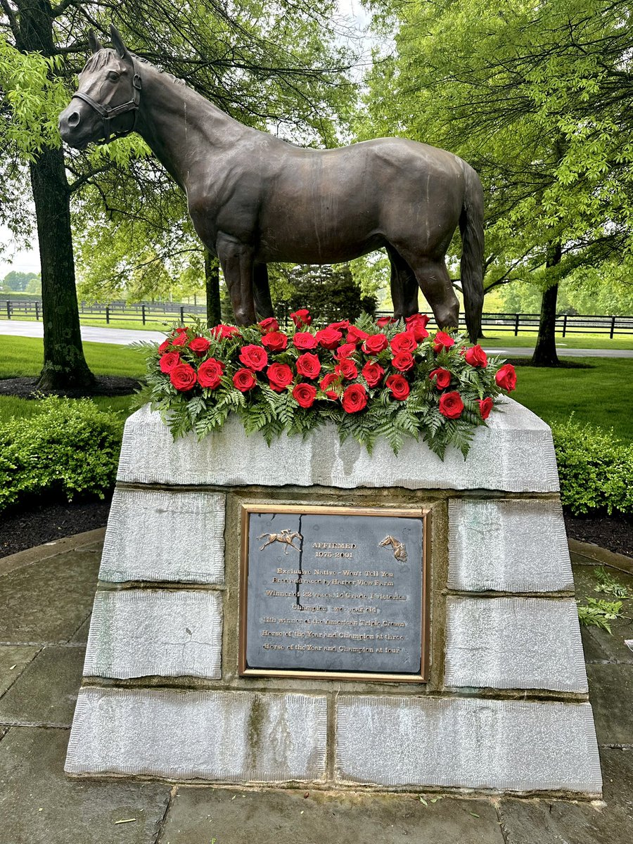 🌹 Happy Derby Week from #Affirmed 😇🪽