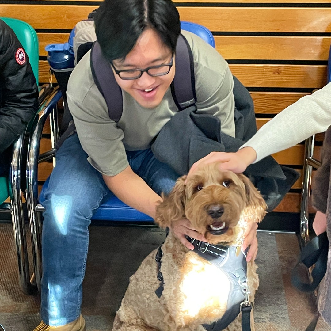 Join us in celebrating National Therapy Animal Day when we recognize the work of therapy animals and their human companions who help us experience their healing power #PawsForWellness #TherapyDogDay #NationalTherapyDogDay #NationalTherapyAnimalDay